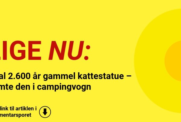 Stjal 2.600 år gammel kattestatue – gemte den i campingvogn