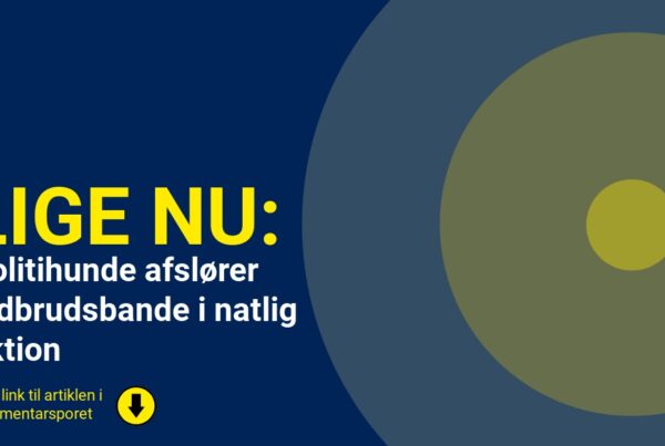 Politihunde afslører indbrudsbande i natlig aktion