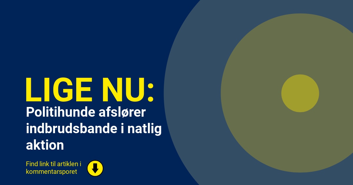 Politihunde afslører indbrudsbande i natlig aktion