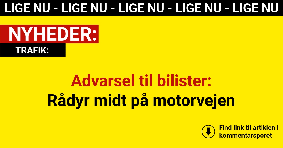 Advarsel til bilister: Rådyr midt på motorvejen