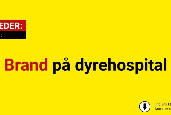 Brand på dyrehospital