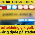 Træfældning gik galt: 56-årig døde på stedet