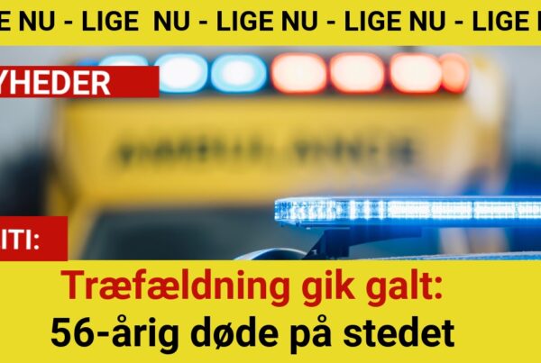 Træfældning gik galt: 56-årig døde på stedet