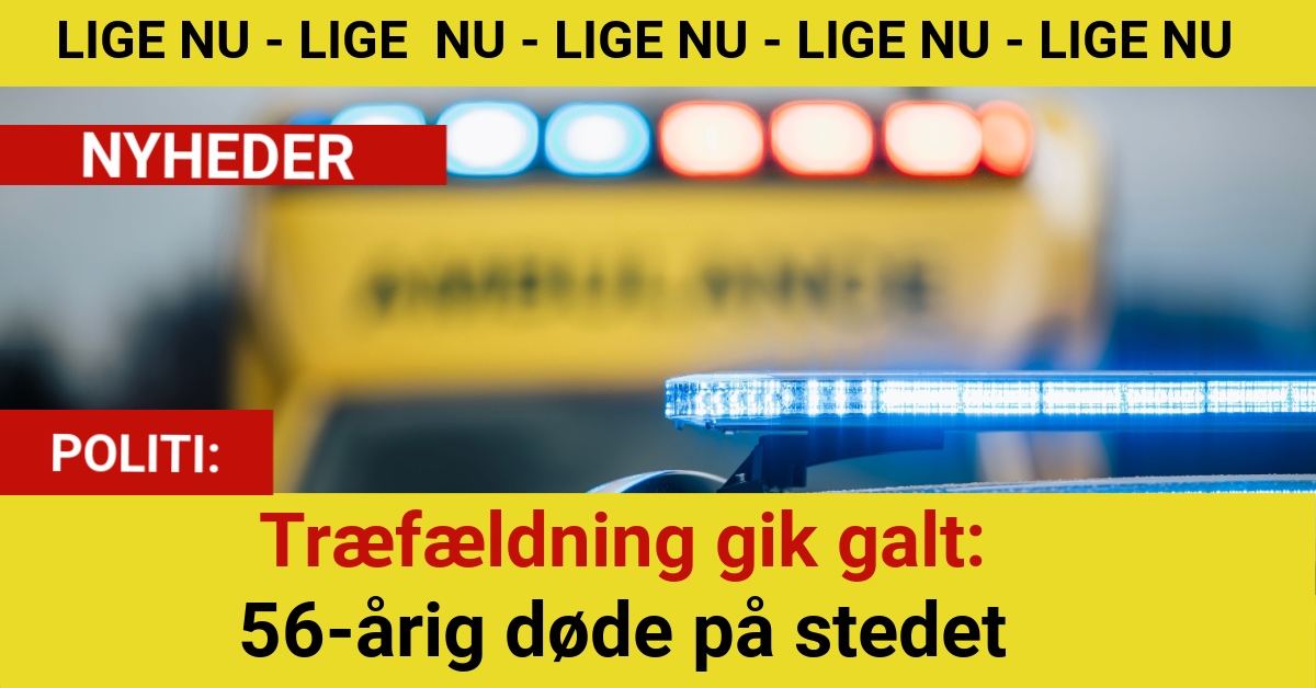 Træfældning gik galt: 56-årig døde på stedet