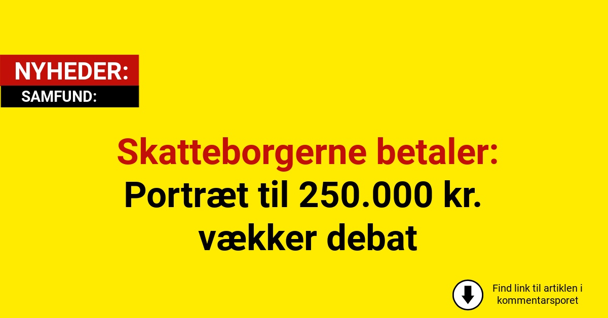 Skatteborgerne betaler: Portræt til 250.000 kr. vækker debat
