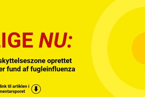 Beskyttelseszone oprettet efter fund af fugleinfluenza