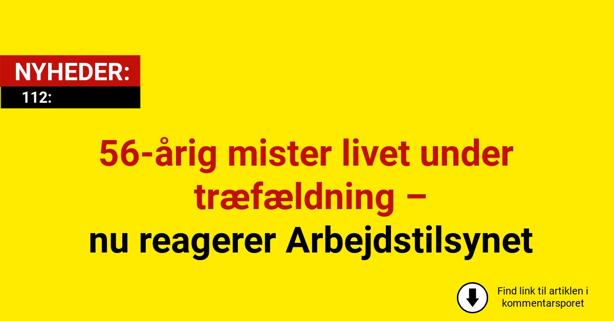 56-årig mister livet under træfældning – nu reagerer Arbejdstilsynet