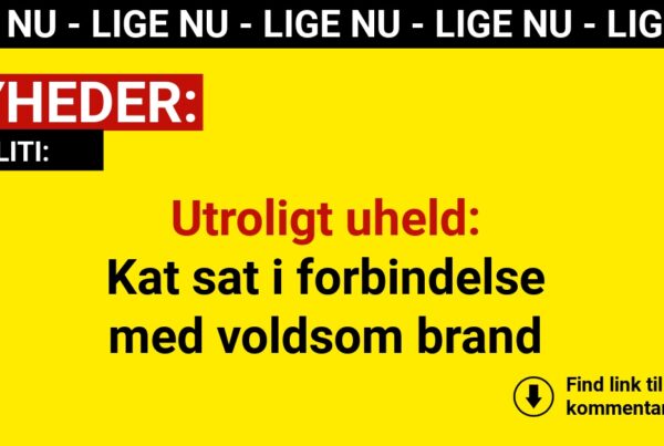 Utroligt uheld: Kat sat i forbindelse med voldsom brand