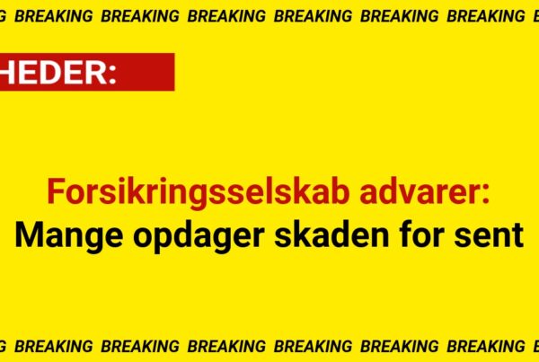Forsikringsselskab advarer: Mange opdager skaden for sent