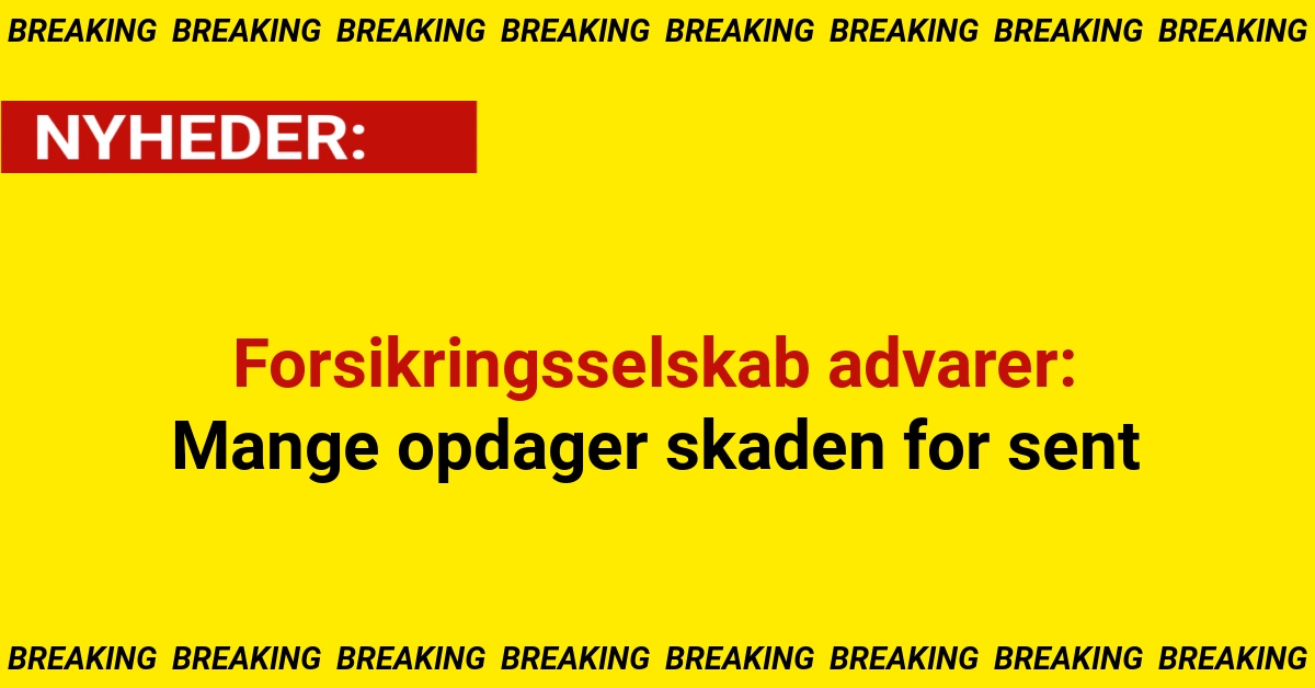 Forsikringsselskab advarer: Mange opdager skaden for sent