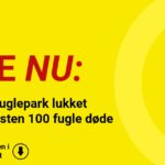 Populær fuglepark lukket akut – næsten 100 fugle døde