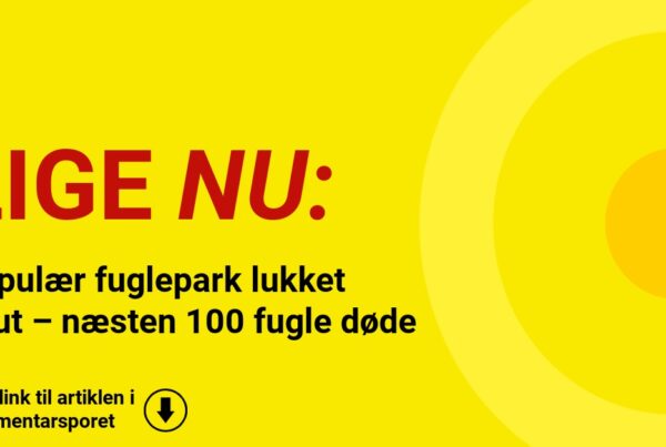 Populær fuglepark lukket akut – næsten 100 fugle døde