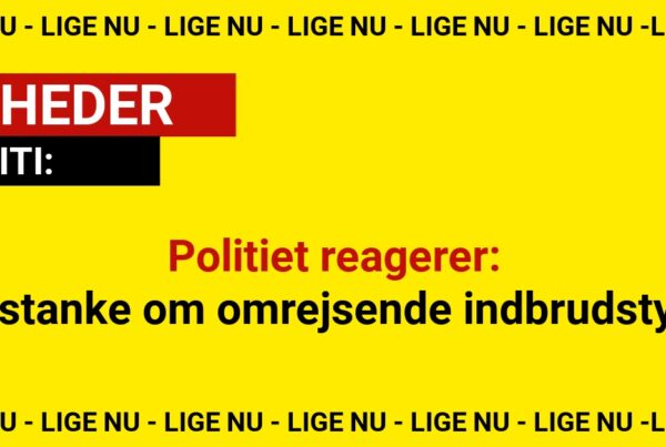 Kriminelle flygter over Øresund – politiet skærper kontrollen