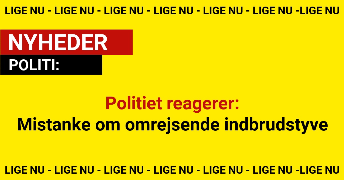 Kriminelle flygter over Øresund – politiet skærper kontrollen