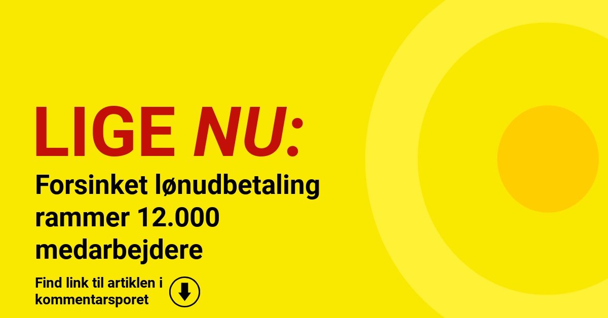 Forsinket lønudbetaling rammer 12.000 medarbejdere