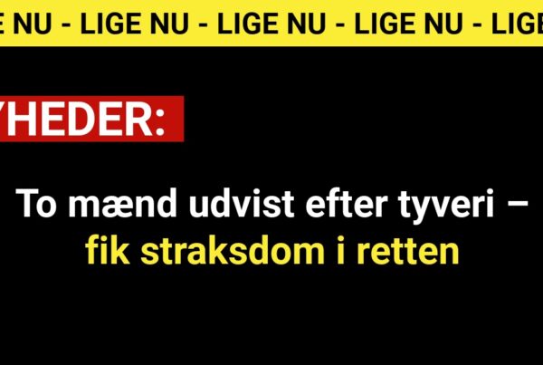 To mænd udvist efter tyveri – fik straksdom i retten