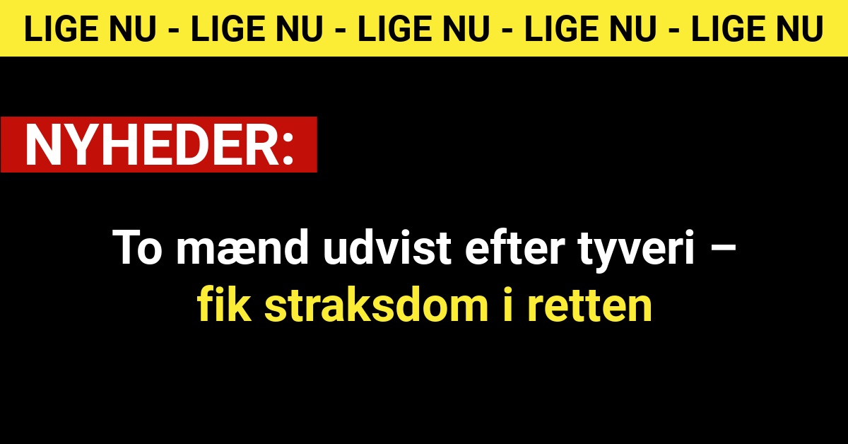 To mænd udvist efter tyveri – fik straksdom i retten