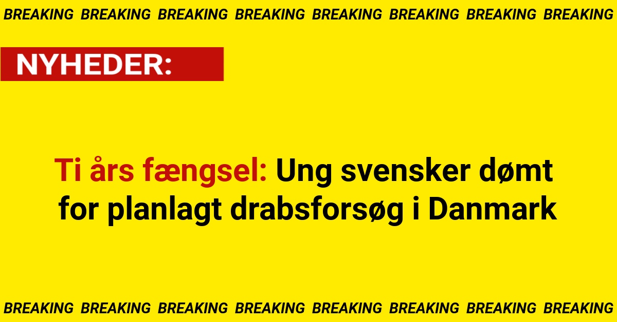 Ti års fængsel: Ung svensker dømt for planlagt drabsforsøg i Danmark