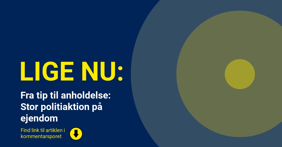 Fra tip til anholdelse: Stor politiaktion på ejendom