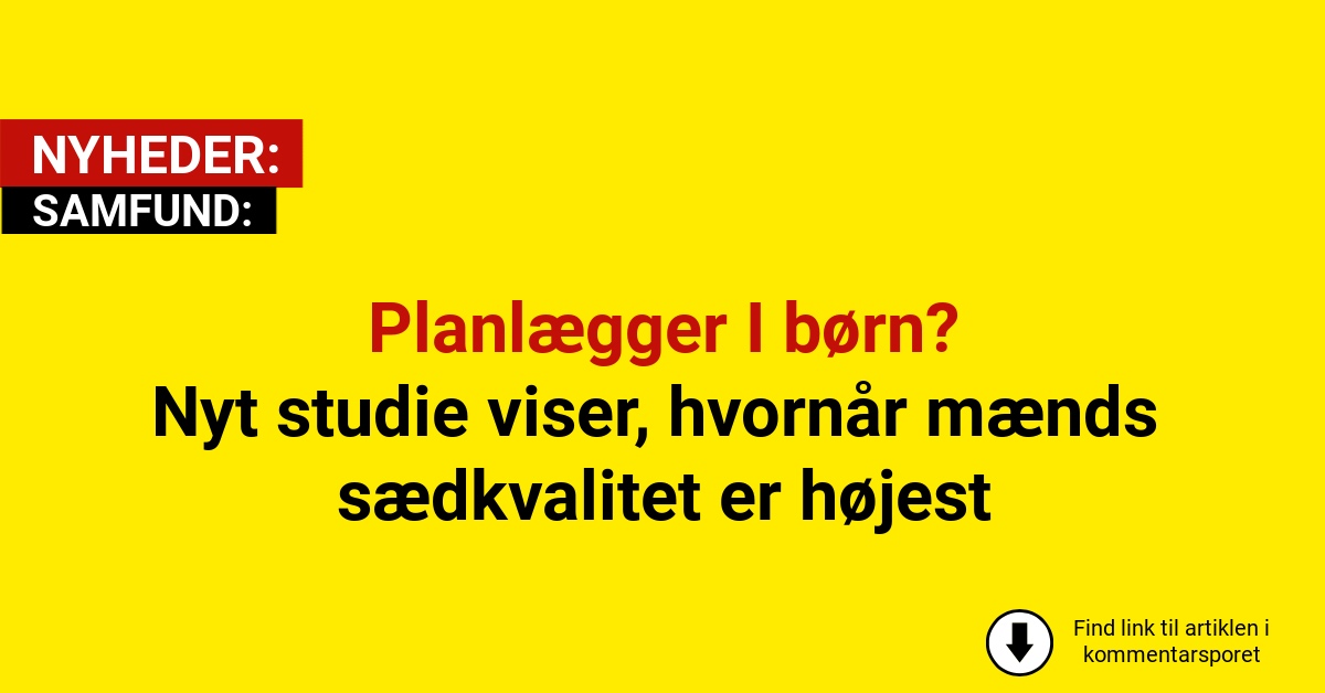 Planlægger I børn? Nyt studie viser, hvornår mænds sædkvalitet er højest