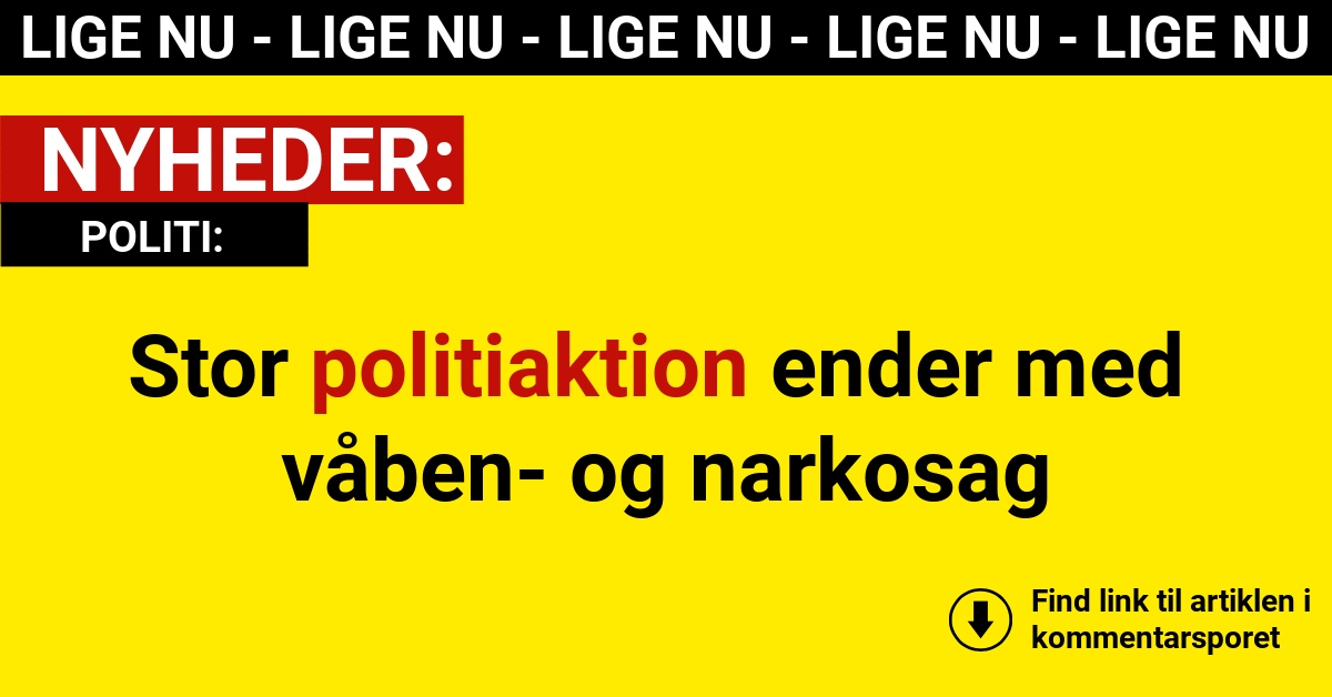 Stor politiaktion ender med våben- og narkosag