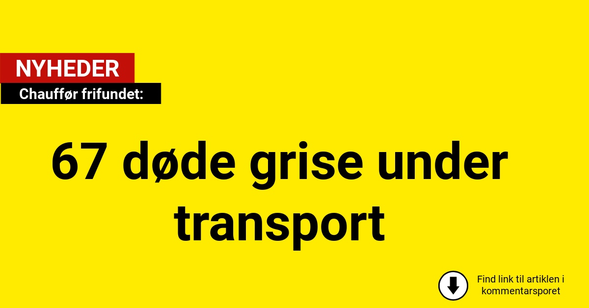 Chauffør frifundet i sag om 67 døde grise under transport