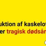 Obduktion af kaskelothval viser tragisk dødsårsag