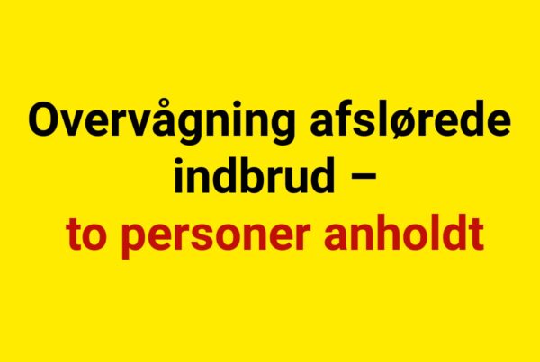 Overvågning afslørede indbrud – to personer anholdt