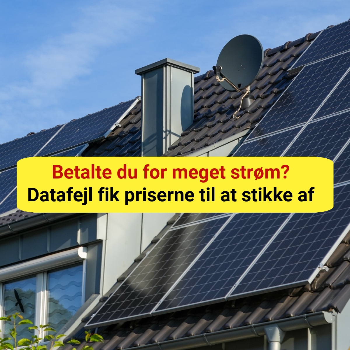 Vild fejl sender elprisen på himmelflugt – tjek din regning i dag