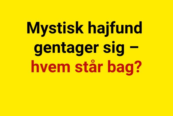 Mystisk hajfund gentager sig – hvem står bag?