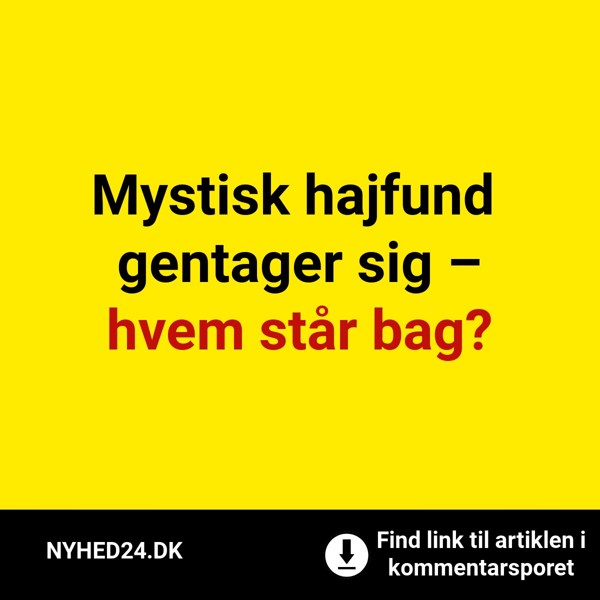 Mystisk hajfund gentager sig – hvem står bag?