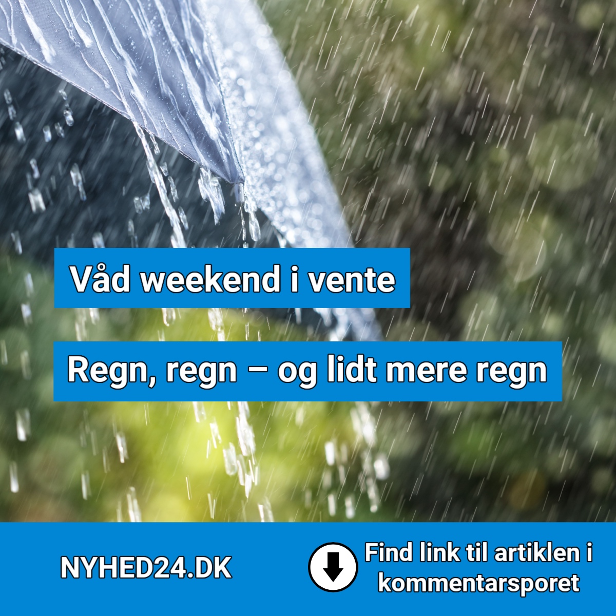 Regn, regn – og lidt mere regn: Sådan bliver din weekend