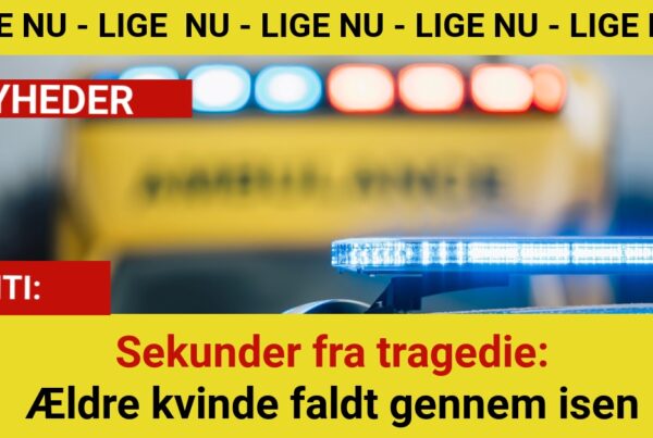 Sekunder fra tragedie: Ældre kvinde faldt gennem isen