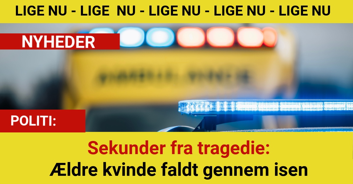 Sekunder fra tragedie: Ældre kvinde faldt gennem isen