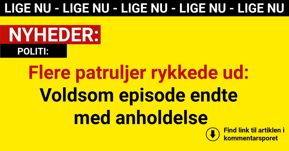 Flere patruljer rykkede ud: Voldsom episode endte med anholdelse