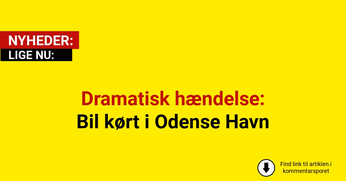 Dramatisk hændelse: Bil kørt i Odense Havn