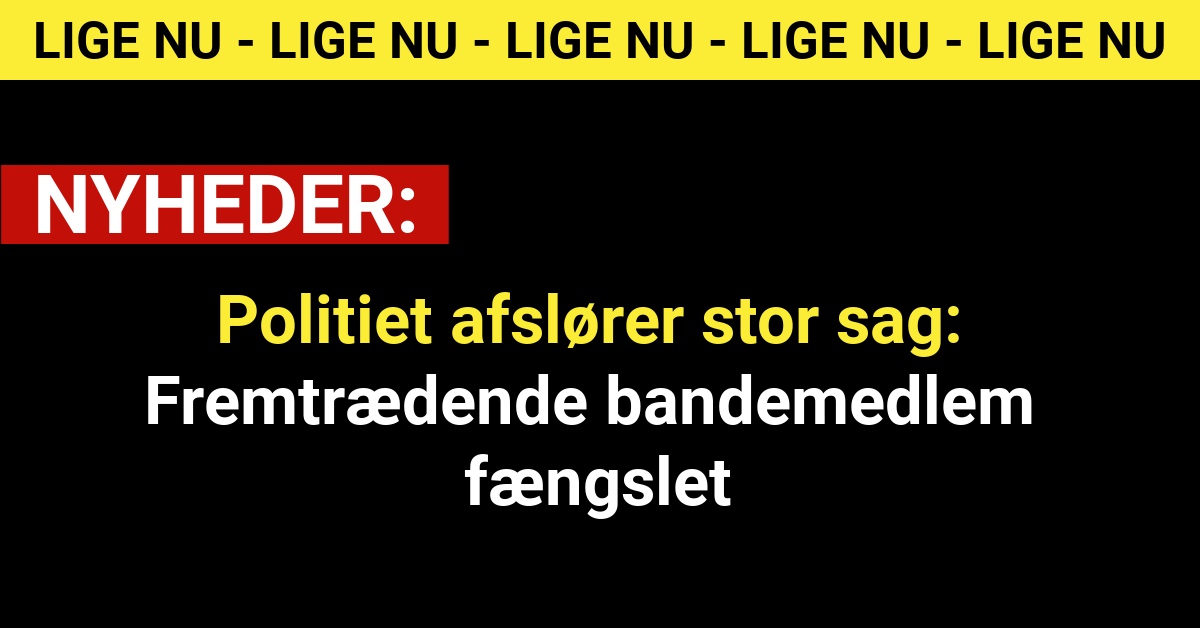 Politiet afslører stor sag: Fremtrædende bandemedlem fængslet