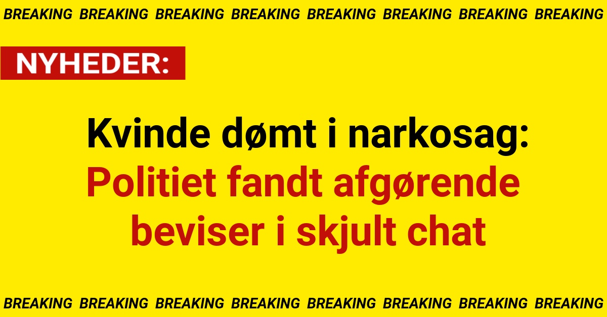 Kvinde dømt i narkosag: Politiet fandt afgørende beviser i skjult chat