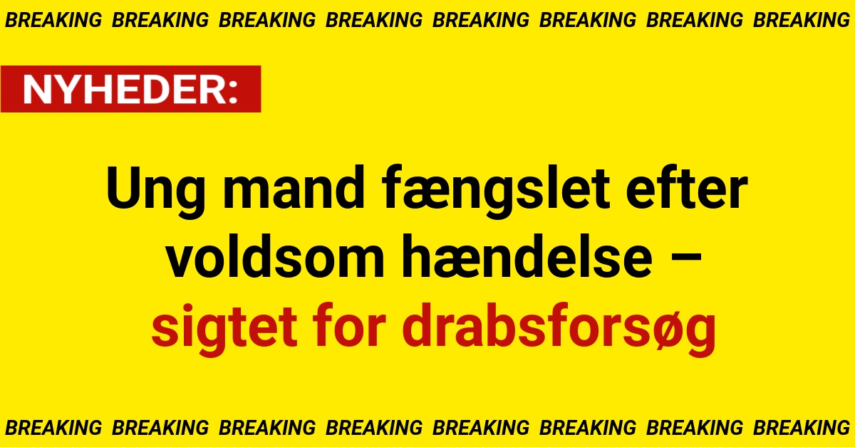 Ung mand fængslet efter voldsom hændelse ved letbanestation – sigtet for drabsforsøg