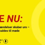 Flere ulve-hændelser skaber uro – borgere indkaldes til møde