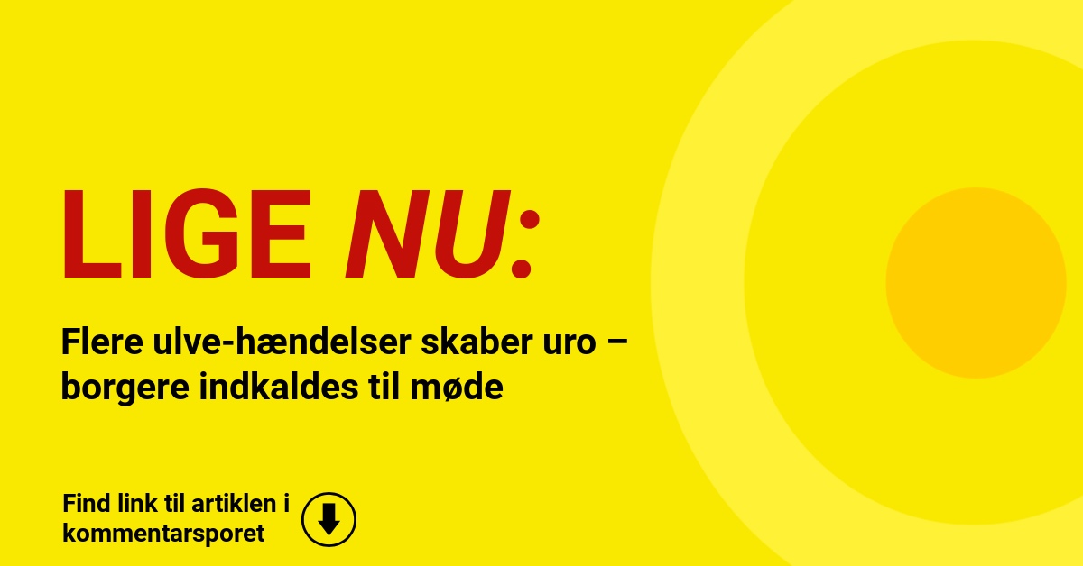 Flere ulve-hændelser skaber uro – borgere indkaldes til møde