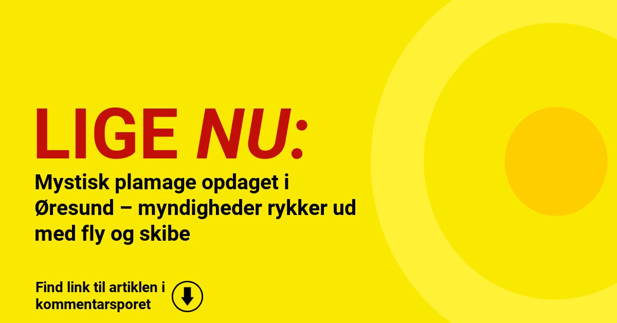 Mystisk plamage opdaget i Øresund – myndigheder rykker ud med fly og skibe
