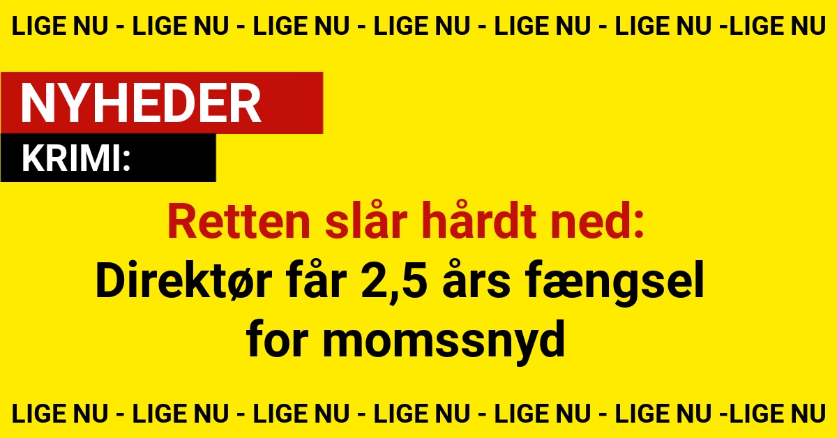 Retten slår hårdt ned: Direktør får 2,5 års fængsel for momssnyd