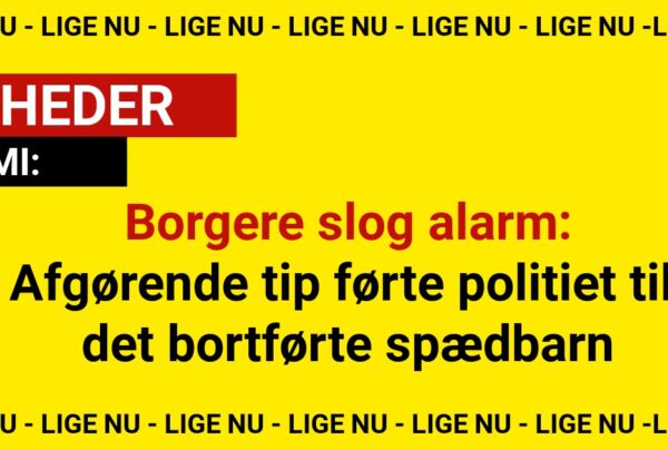 Borgere slog alarm: Afgørende tip førte politiet til det bortførte spædbarn