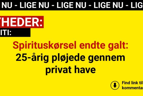 Spirituskørsel endte galt: 25-årig pløjede gennem privat have