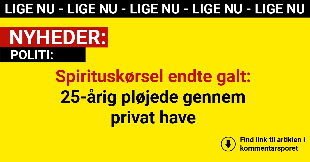 Spirituskørsel endte galt: 25-årig pløjede gennem privat have