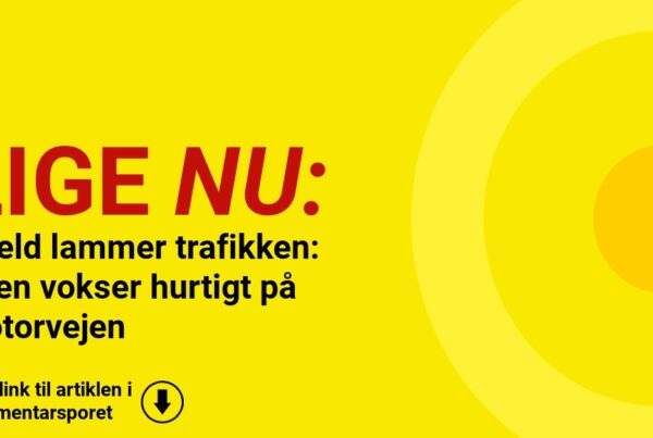 Uheld lammer trafikken: Køen vokser hurtigt på motorvejen