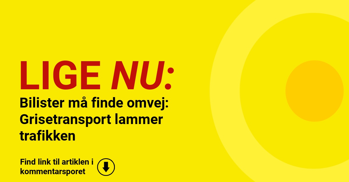 Bilister må finde omvej: Grisetransport lammer trafikken