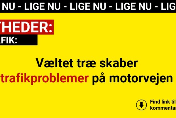 Væltet træ skaber trafikproblemer på motorvejen