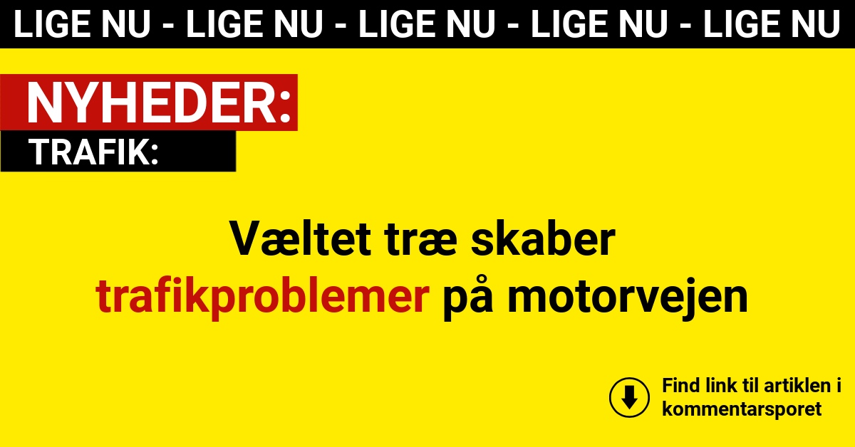 Væltet træ skaber trafikproblemer på motorvejen